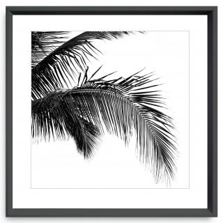 Artwork framed Areca Palm 500 x 500mm