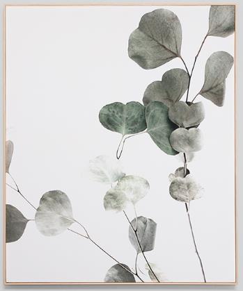 Artwork Eucalyptus Branch 1 Canvas 1000 x 1200mm