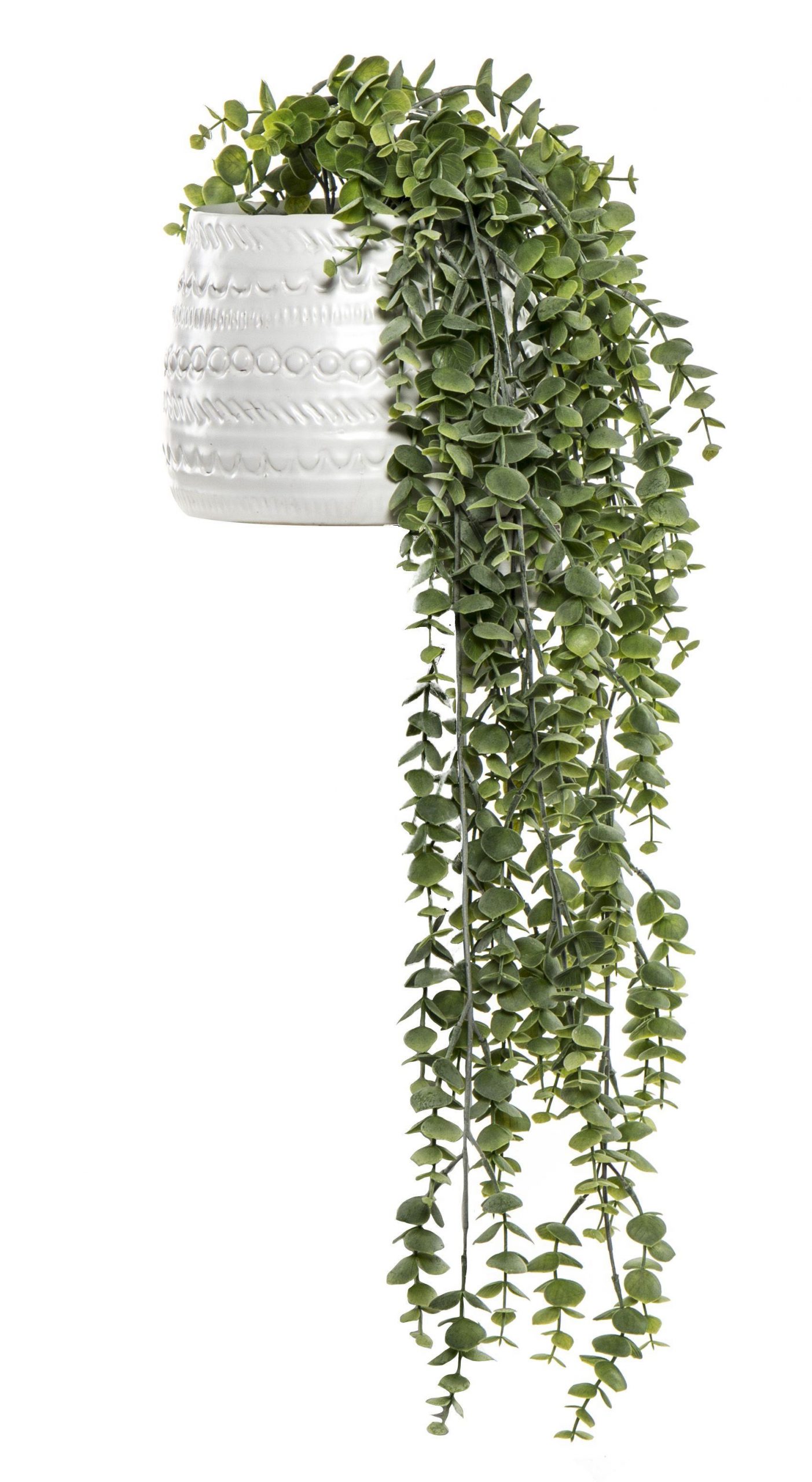 Hanging Silverleaf in Tully Pot White