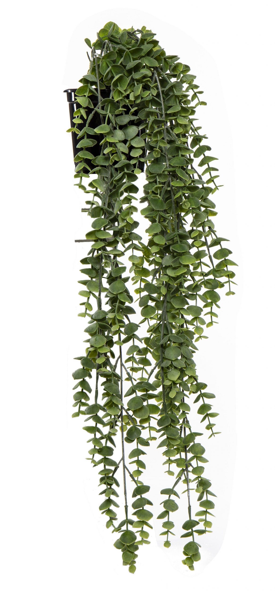 Garden Pot Silver Leaf Hanging 600mm