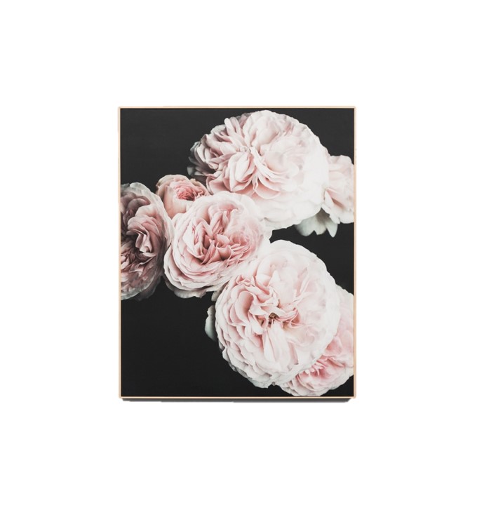 Art Framed Canvas Blush Roses 1200 x 1500mm