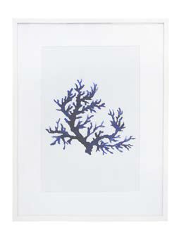 Art Framed Print Blue Coral 1 600 x 800mm