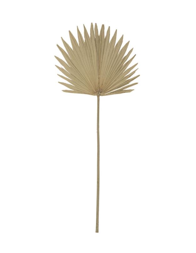 Accessory Dried Sun Fan Palm Natural 1030mm