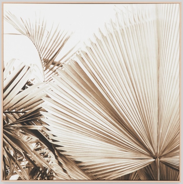 Art Framed Canvas Desert Palm 1 800 x 800mm