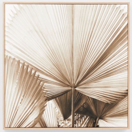 Art Framed Canvas Desert Palm 2 800 x 800mm