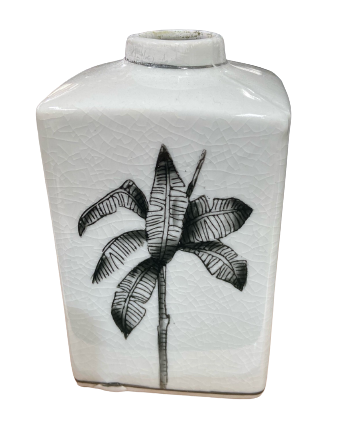Jar Bermuda Palm Asstd White/Black