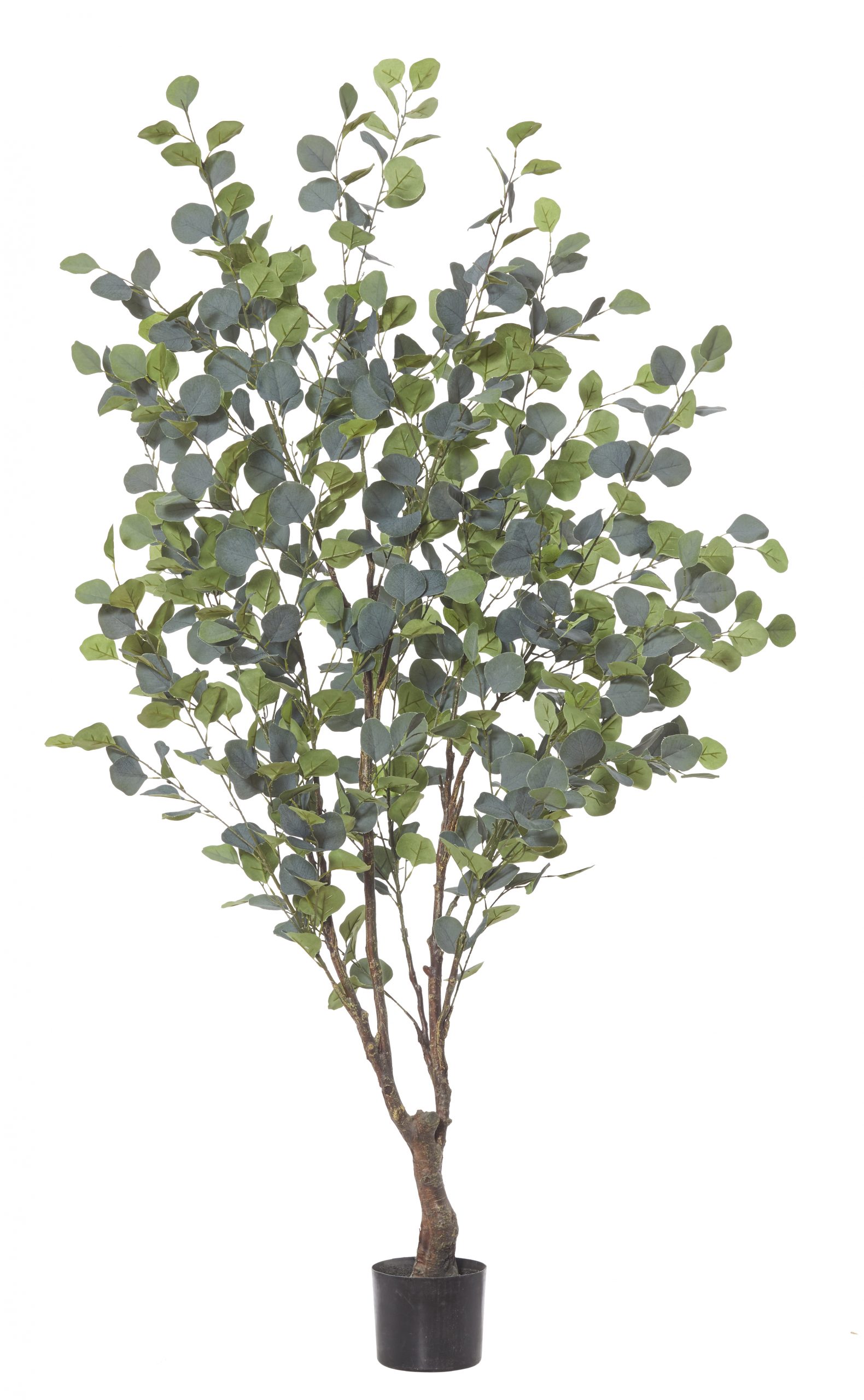 Artificial Plant Eucalyptus Tree H1800mm