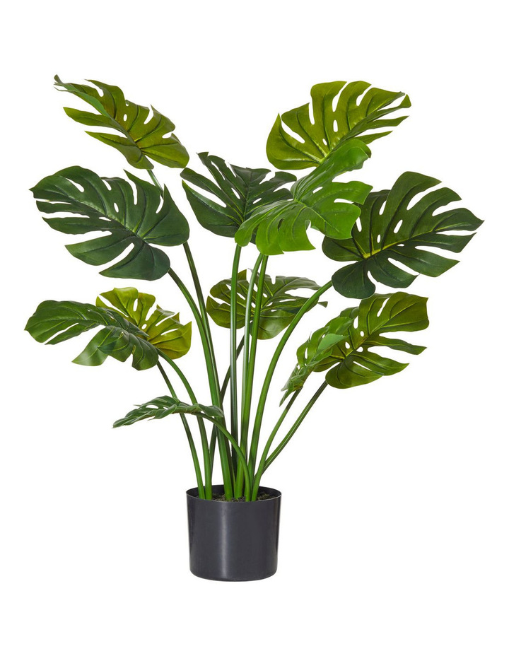 Planter Monsteria 1220mm Green – Indoor