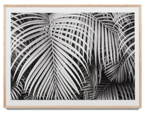 Artwork Black + White Palms 1140 x 850 x 40 mm