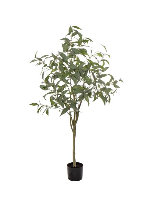 Artificial Plant Gum Tree H1600mm