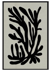 Art Coral A Black Frame W630 x D40 x H930mm